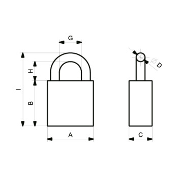 Golem G60 Long Guard